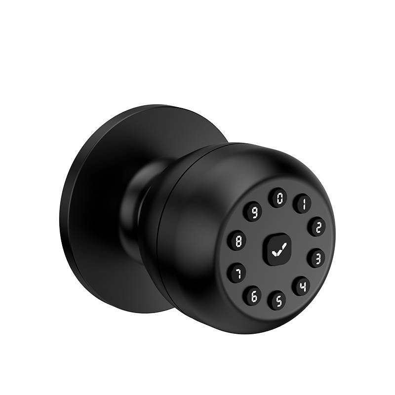 D-L10P