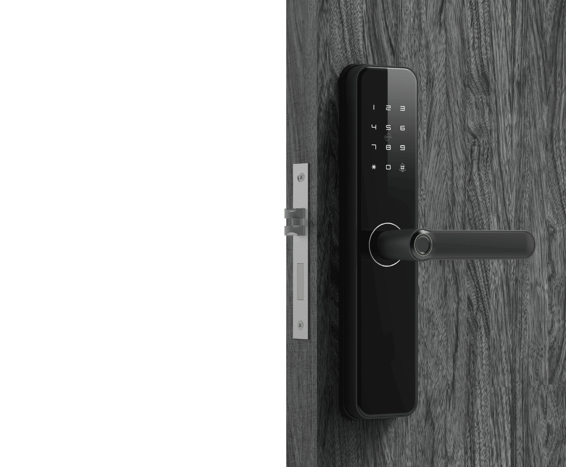 TL100 smart lock product image