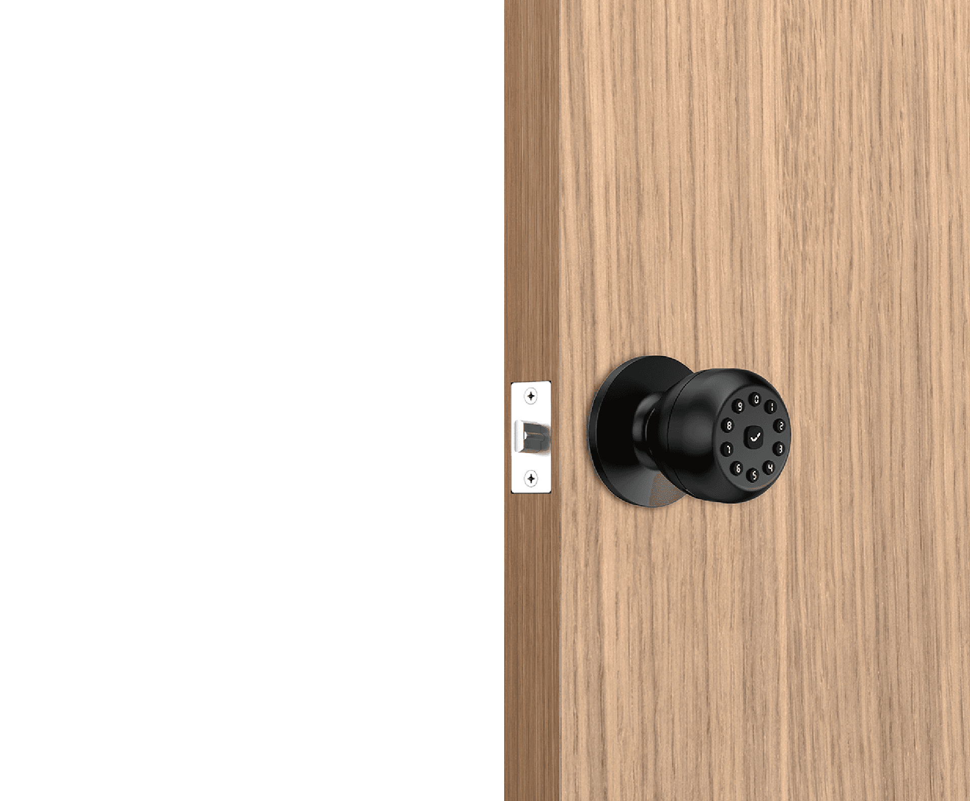 D-L10P smart lock product image